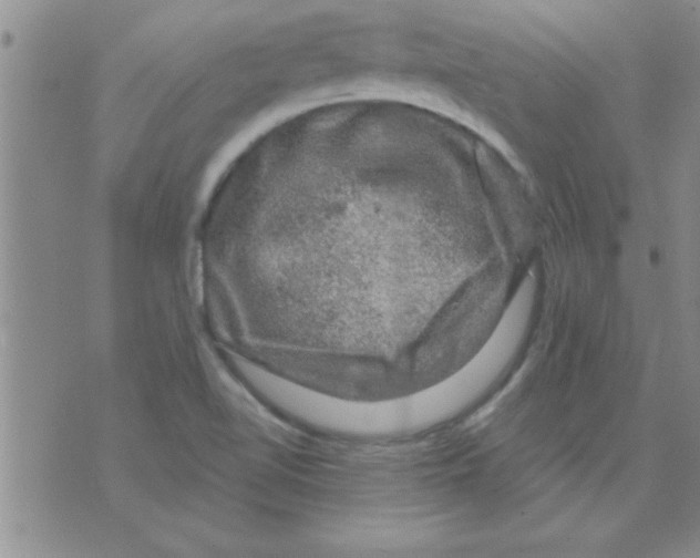 X0000075901510200610151803