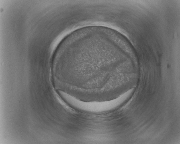 X0000075901511200610151803