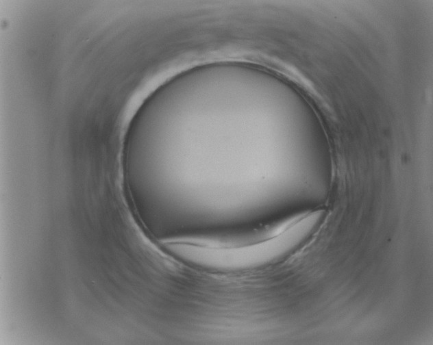 X0000075901512200610151803