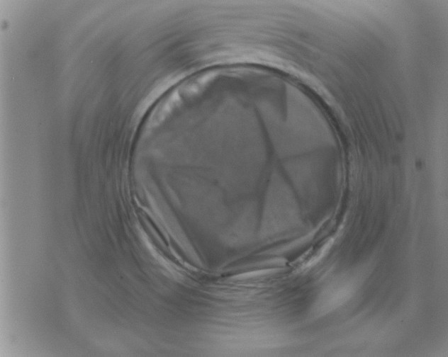 X0000075901513200610151803