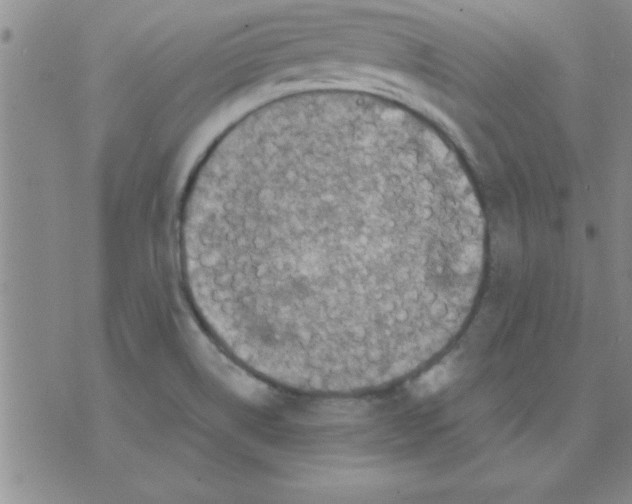 X0000075901514200610151803