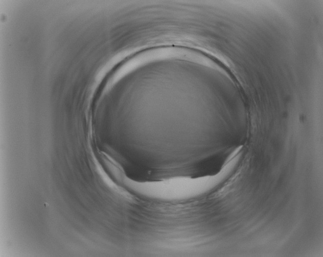 X0000075901515200610151803