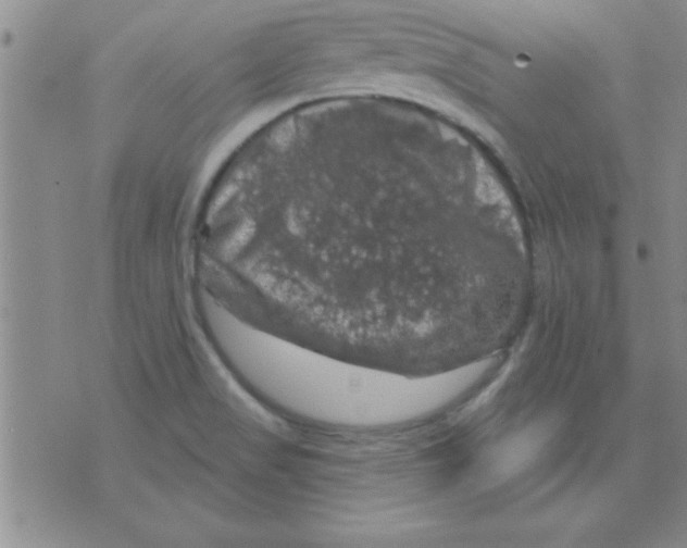 X0000075901517200610151803