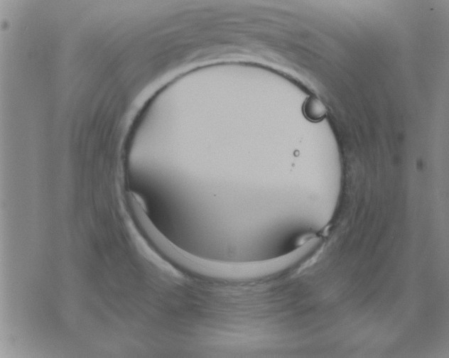 X0000075901518200610151803