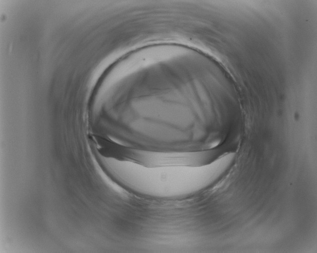 X0000075901519200610151803