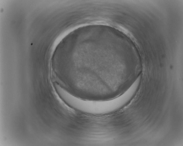 X0000075901520200610151803