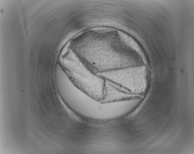 X0000075901521200610151803