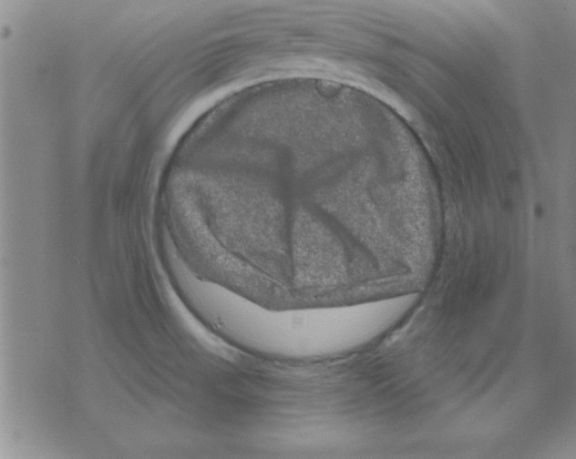 X0000075901523200610151803