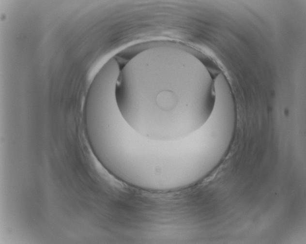 X0000075901524200610151803