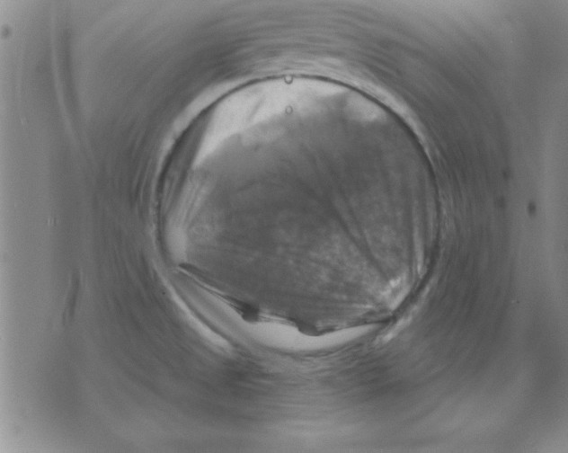 X0000075901525200610151803