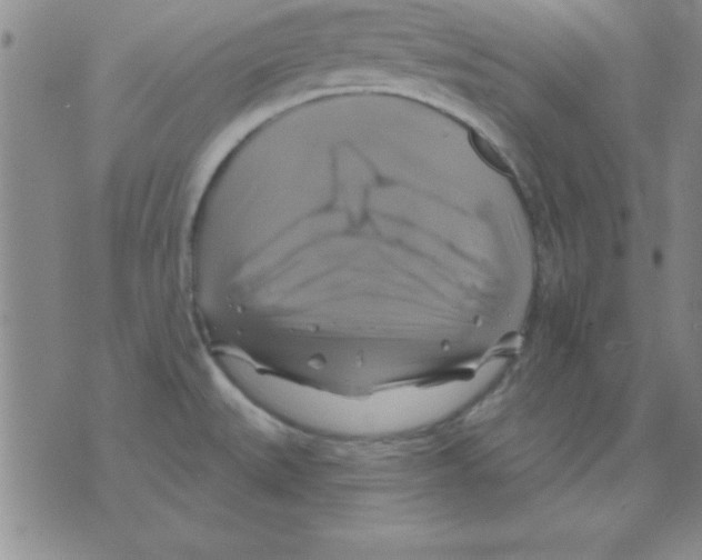 X0000075901527200610151803