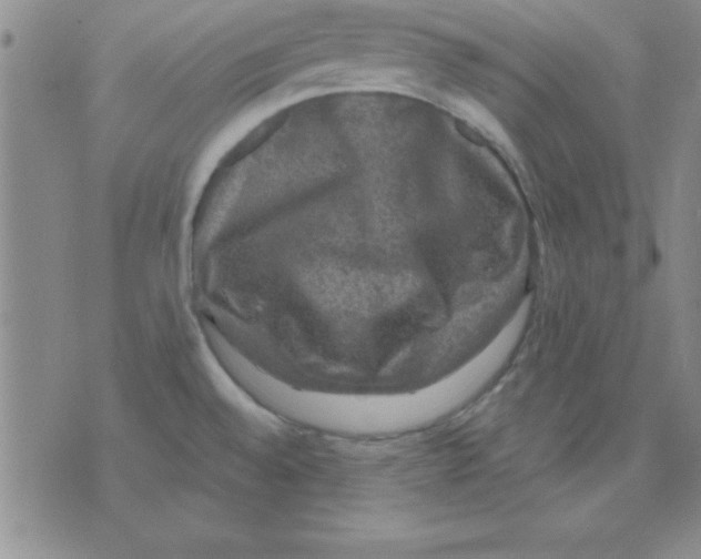 X0000075901528200610151803