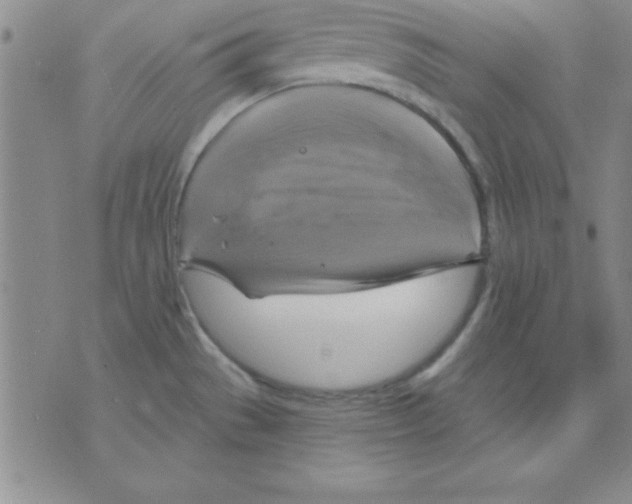 X0000075901529200610151803