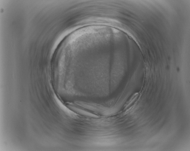 X0000075901531200610151803