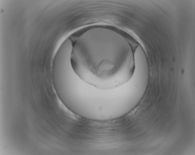 X0000075901532200610151803