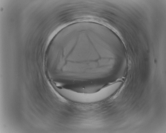 X0000075901533200610151803