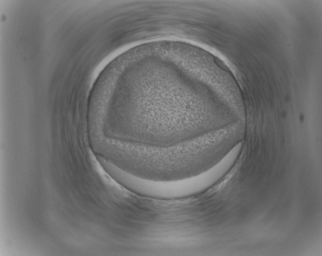 X0000075901534200610151803