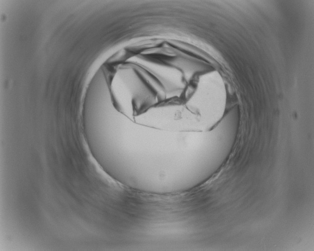 X0000075901536200610151803