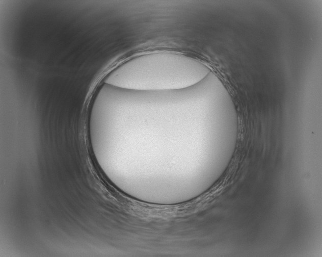 X0000075910004200609151050
