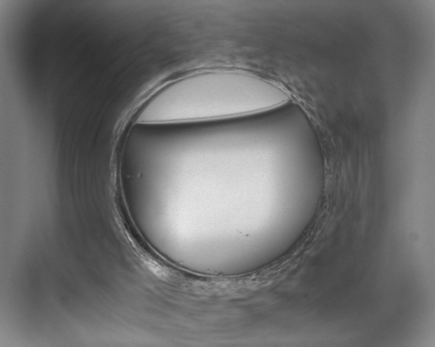 X0000075910005200609151050