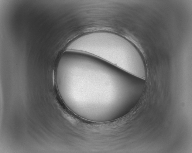 X0000075910013200609151050