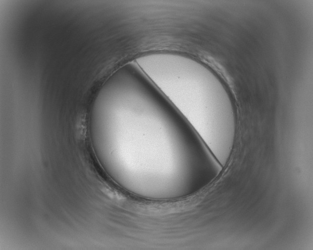 X0000075910017200609151050