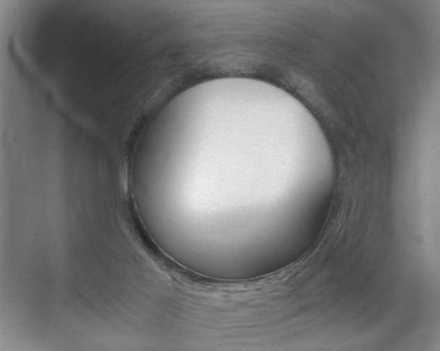 X0000075910021200609151050