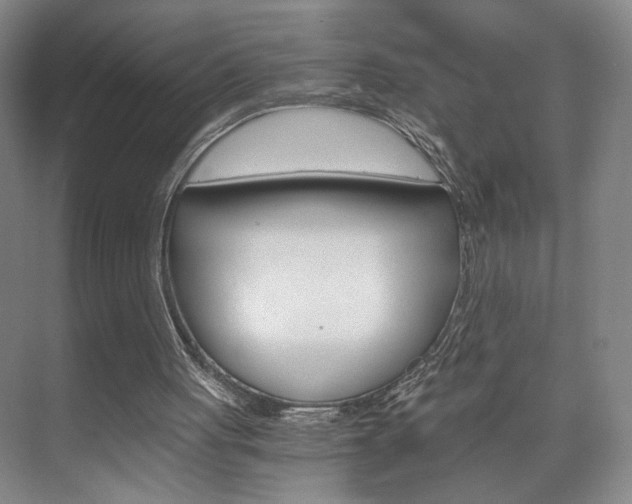 X0000075910051200609151048