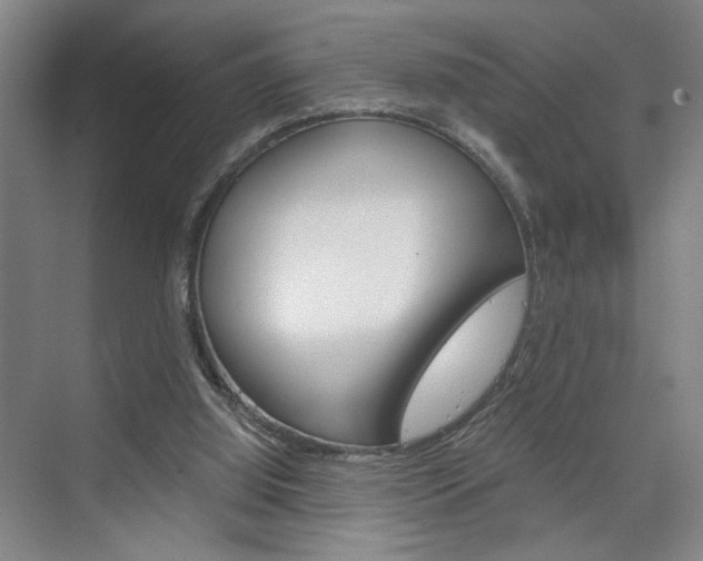 X0000075910060200609151049