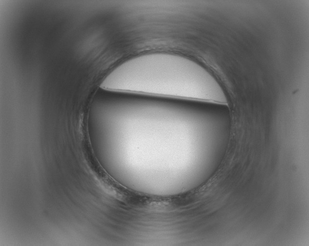 X0000075910066200609151049