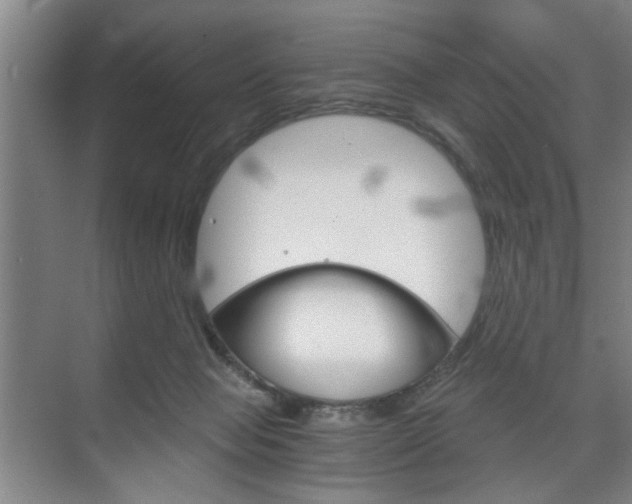 X0000075910077200609151049