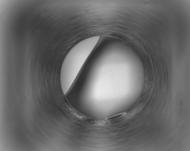 X0000075910096200609151049
