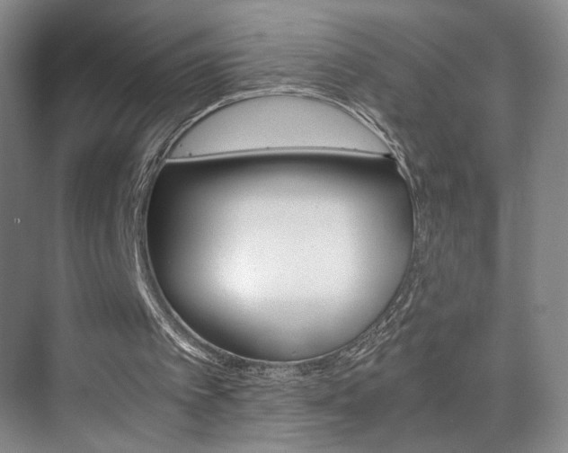 X0000075910097200609151048