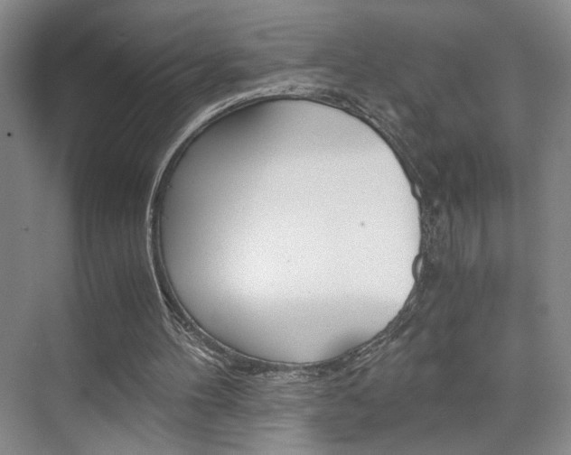 X0000075910100200609151048