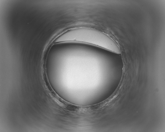 X0000075910101200609151048