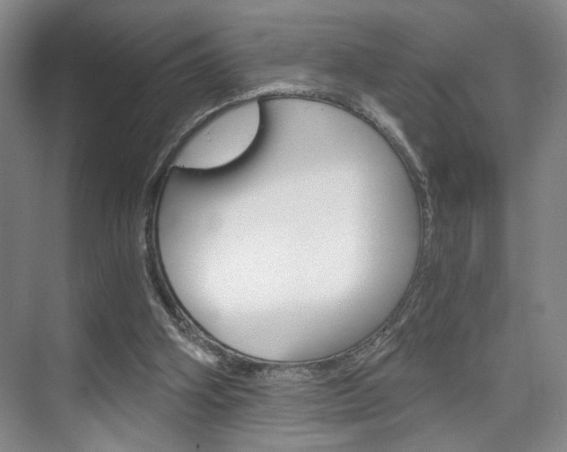 X0000075910106200609151048