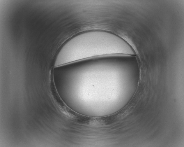 X0000075910109200609151048