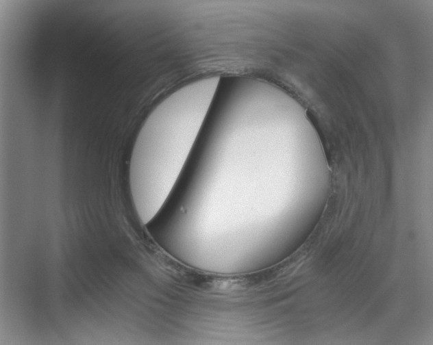 X0000075910117200609151048