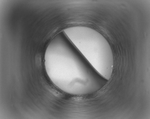 X0000075910120200609151048