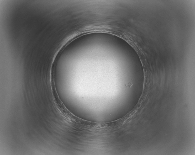 X0000075910148200609151047