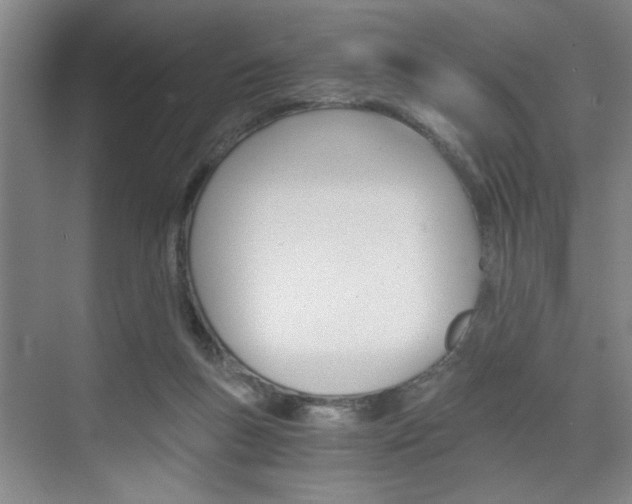 X0000075910167200609151047