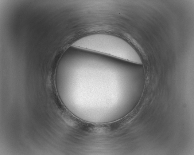 X0000075910209200609151047
