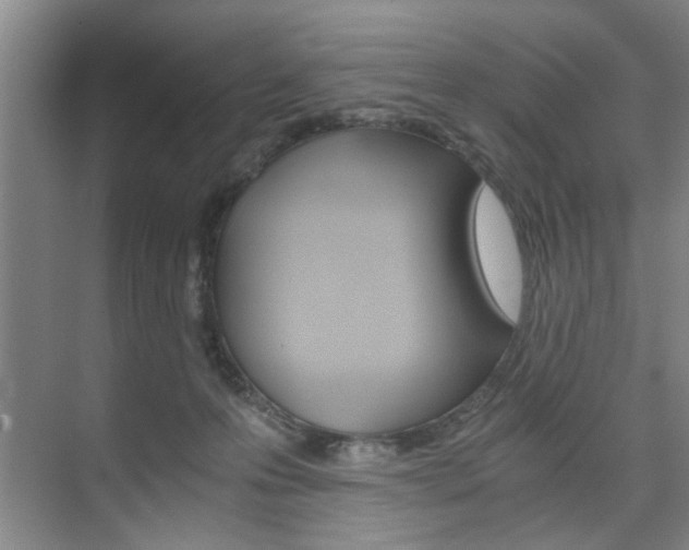 X0000075910223200609151046