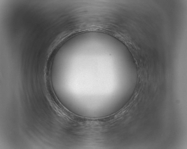 X0000075910242200609151045