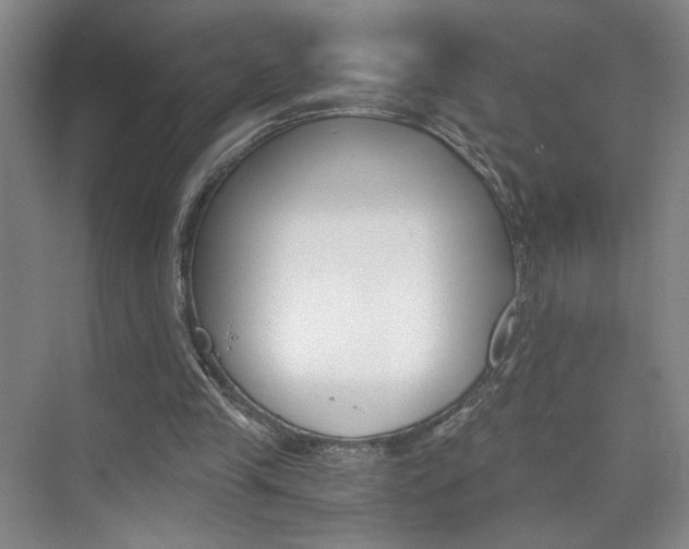 X0000075910245200609151045