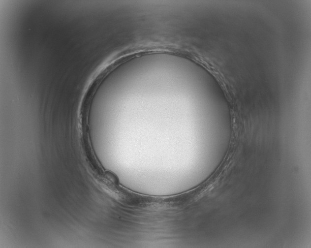 X0000075910246200609151045