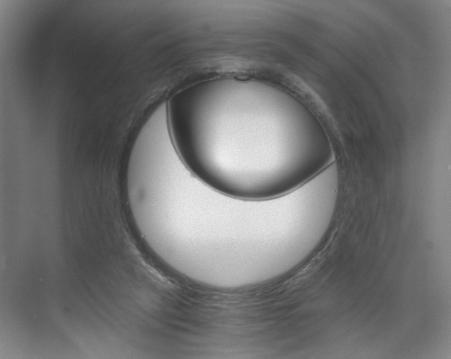 X0000075910257200609151045