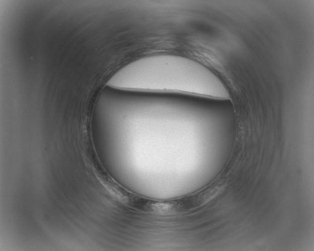 X0000075910265200609151046