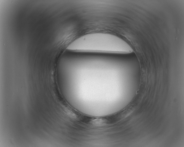 X0000075910269200609151046