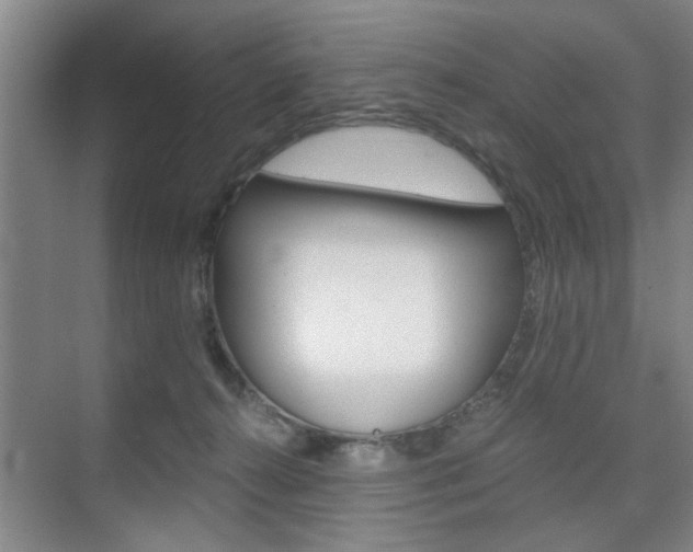 X0000075910272200609151046